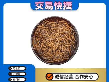 宝鸡回收散虫草